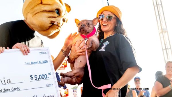 Petunia will be featured on limited-edition cans of a popular beer brand (Image source: The New York Post)