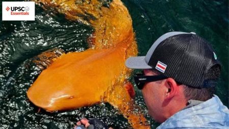 UPSC Essentials | Daily subject-wise quiz : Environment and Geography (Week 124)