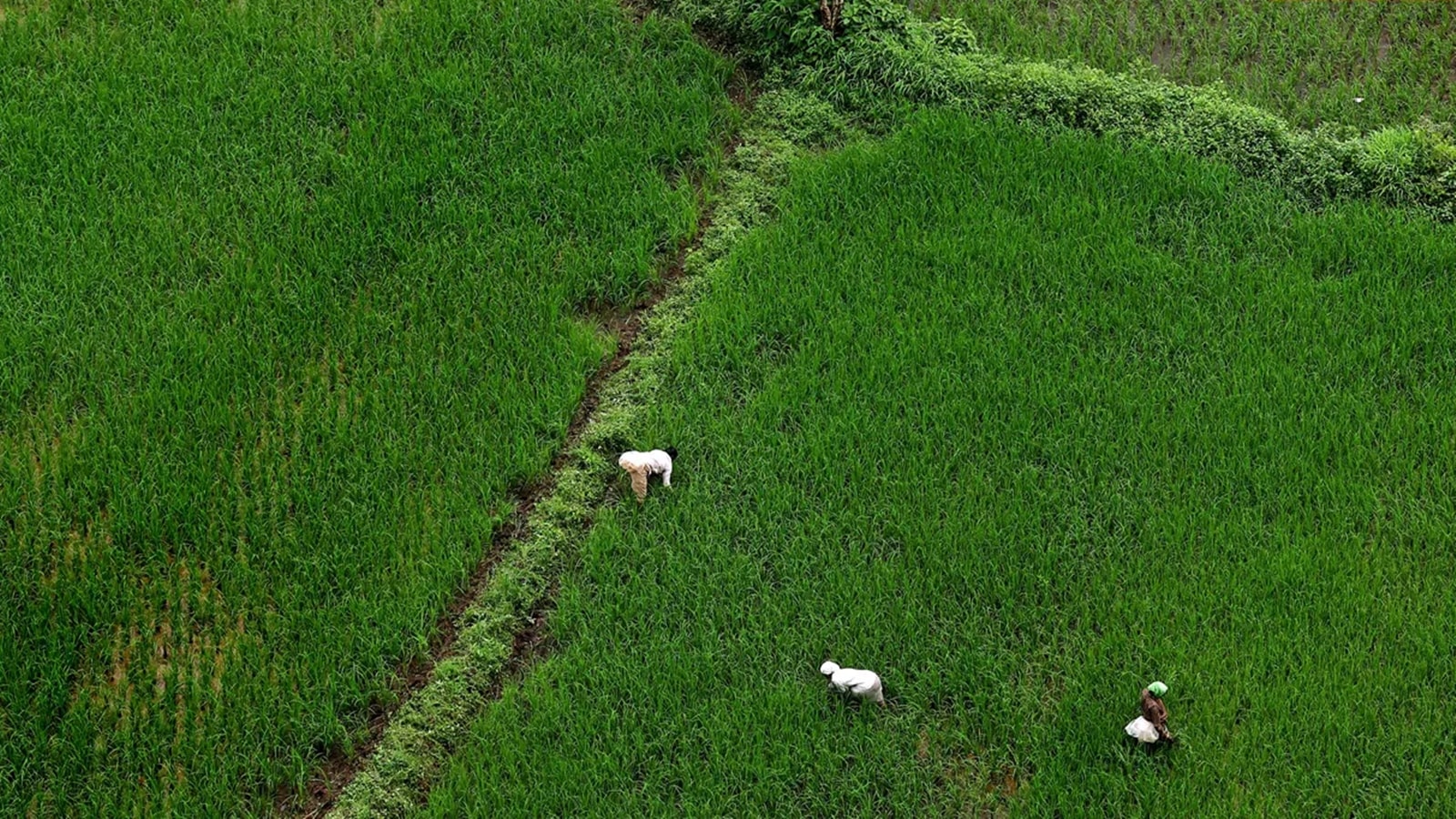Agriculture a stumbling block in talks, but India-US trade in sector sees surge