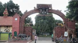 Calcutta HC: In July, a three-member CZA team visited the zoo to carry out an audit and examine allegations of a gross mismatch in wildlife inventory, also checking records of animal transfers.