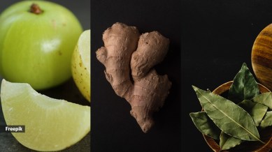 Does this morning shot consisting of amla, ginger, curry leaves and lemon work?