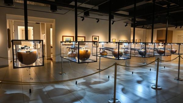 K Venkatappa’s collection of veenas on display at the Bengaluru gallery