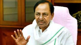 KCR had launched the sheep distribution scheme in June 2017, aiming to provide for over 7.30 lakh shepherd families, belonging to Yadava and Kurma communities