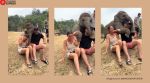 baby elephant hugs couple