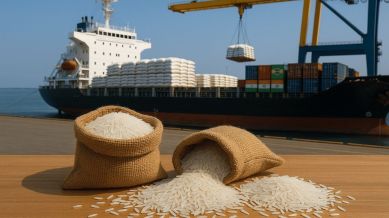 The US-bound Basmati could be redirected to West Asian countries like Saudi Arabia, Iran, Iraq, UAE, Yemen, and Oman. The region is already the largest buyer, purchasing around 70 per cent of the exports, with Saudi Arabia, Iran, and Iraq accounting for around 50 per cent of the Basmati exports in 2024–25.