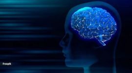 Sensing a neurological problem, the family consulted neurologists everywhere who did a battery of tests.