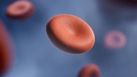 blood cells