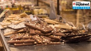 Why premium chocolates taste flavourful