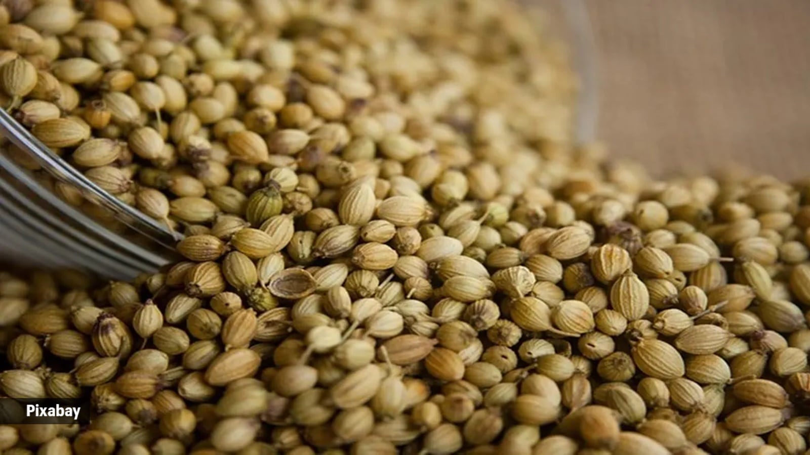 coriander