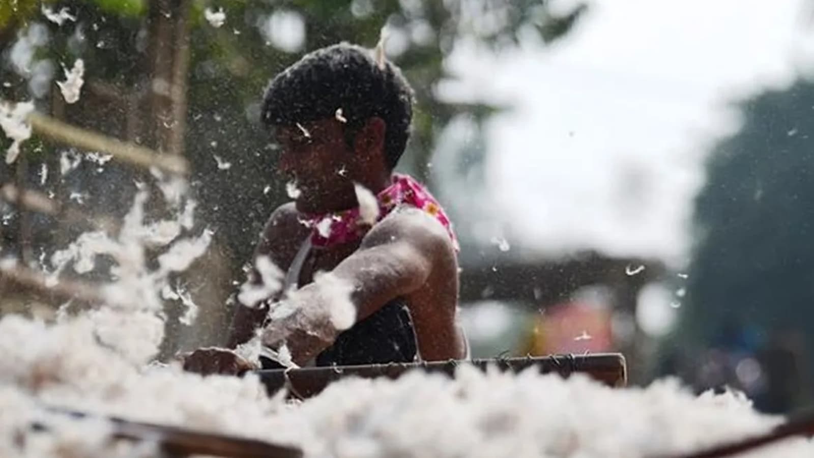 USDA: India's cotton import duty removal benefits US, Indian textiles.