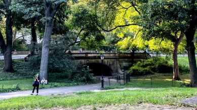 cubbon park