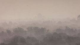 Lung cancer, smoking, pollution
