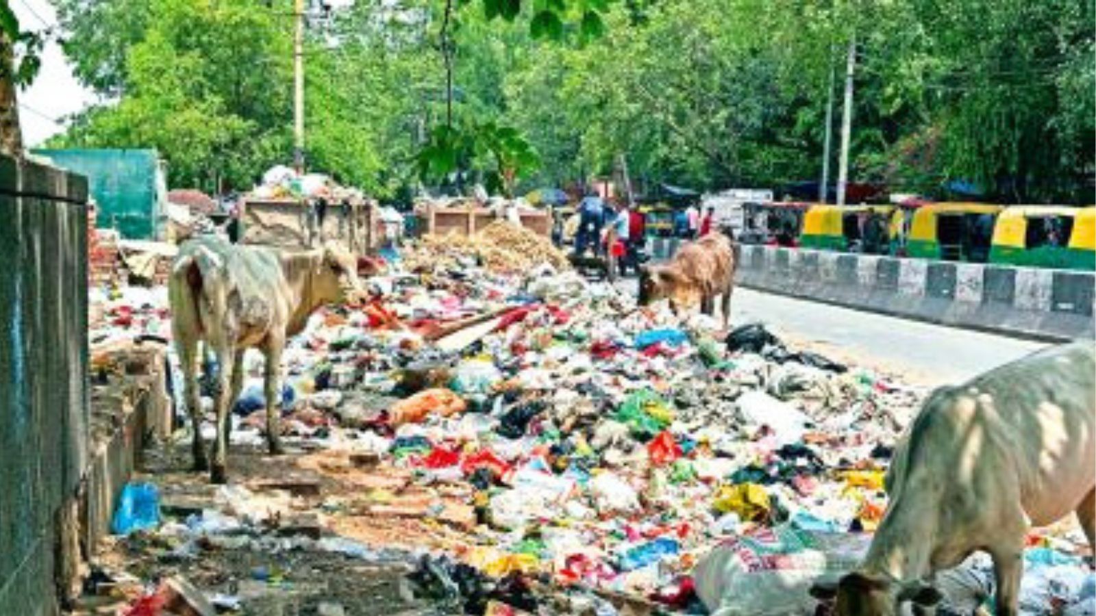 Delhi's Sanitation Campaign Removes 12,000 Tonnes of Waste Daily