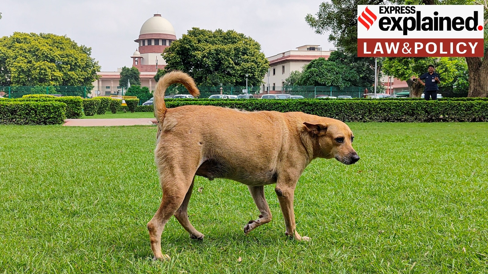 Supreme Court Revises Stray Dog Order: A Tale of Two Judgments