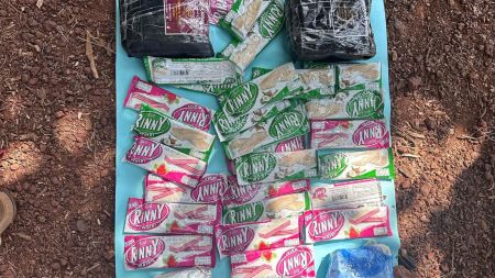 In April, the Goa Police had recovered 4.3 kg of cocaine drug concealed in 32 packets of wafers and coffee