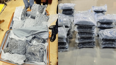 A drug smuggling gang which recruited unemployed youths and sent them on paid holidays to Thailand to bring back hydroponic ganja has been arrested by the Directorate of Revenue Intelligence in Bengaluru, Bhopal and Delhi.