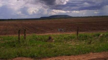 Free land transfer among incentives as Bihar Cabinet approves major push to attract investors