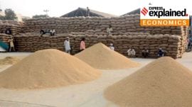farm exports
