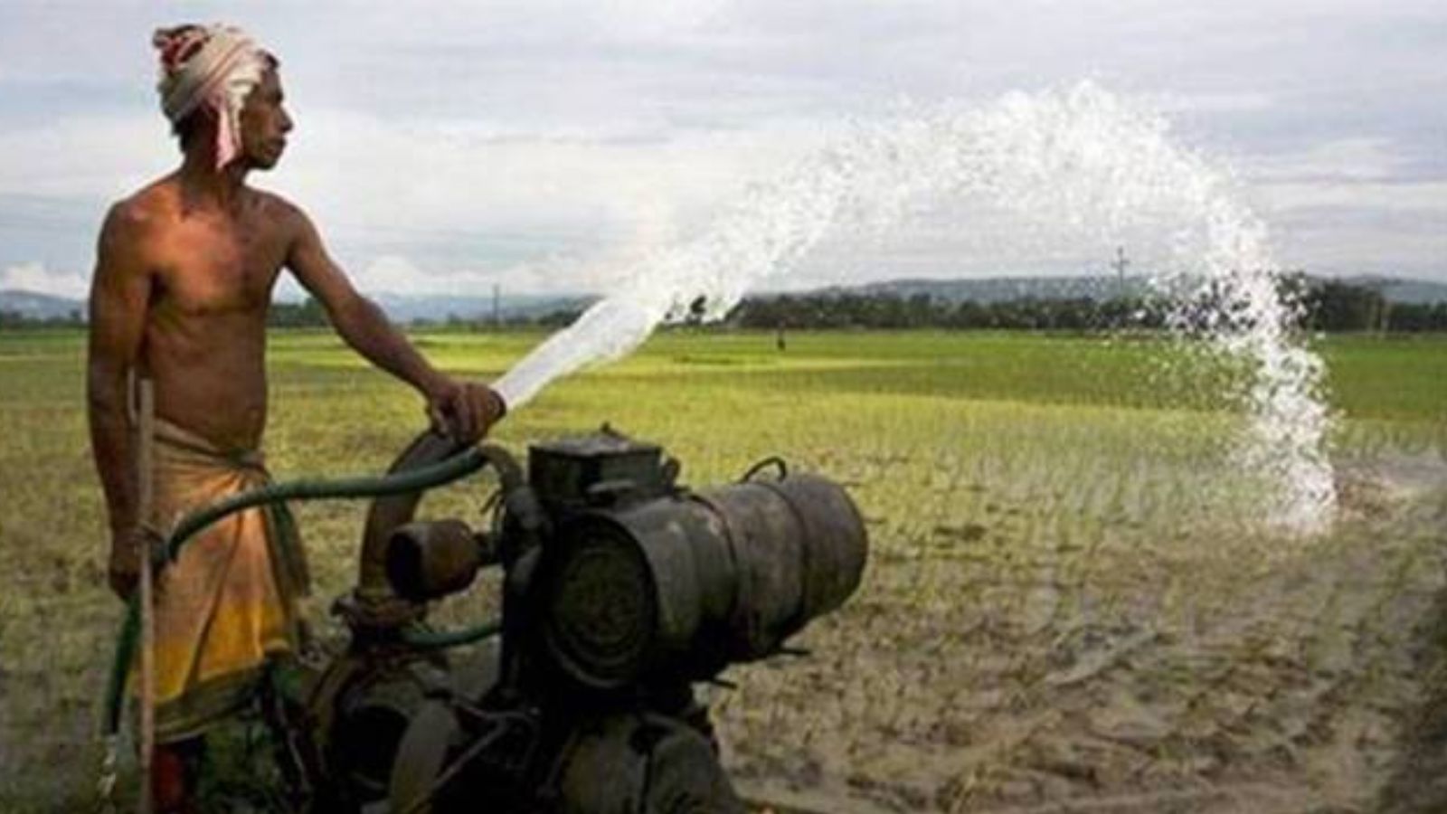 Gujarat Govt. Launches Fertilizer Control Rooms and Helplines