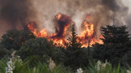 europe, temperature, wildfire