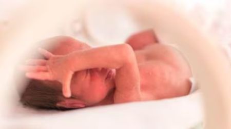 During IVF, several mature eggs are retrieved from the woman’s ovaries and are then mixed with sperm in a laboratory dish