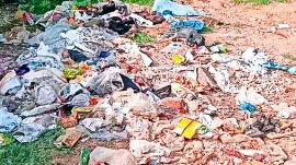 Mohali, Mohali dumping ground near Chapparchiri, dumping ground near Chapparchiri, Chapparchiri, Indian express news, current affairs