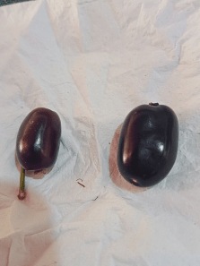 Lesser Known Benefits of Jamun (Black Plum)