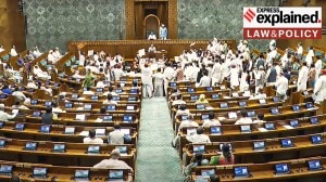 Jan Vishwas 2.0: Why Centre’s Bill to amend 355 provisions across 16 laws matters