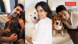 Celebrities express displeasure about SC's ruling on stray dogs