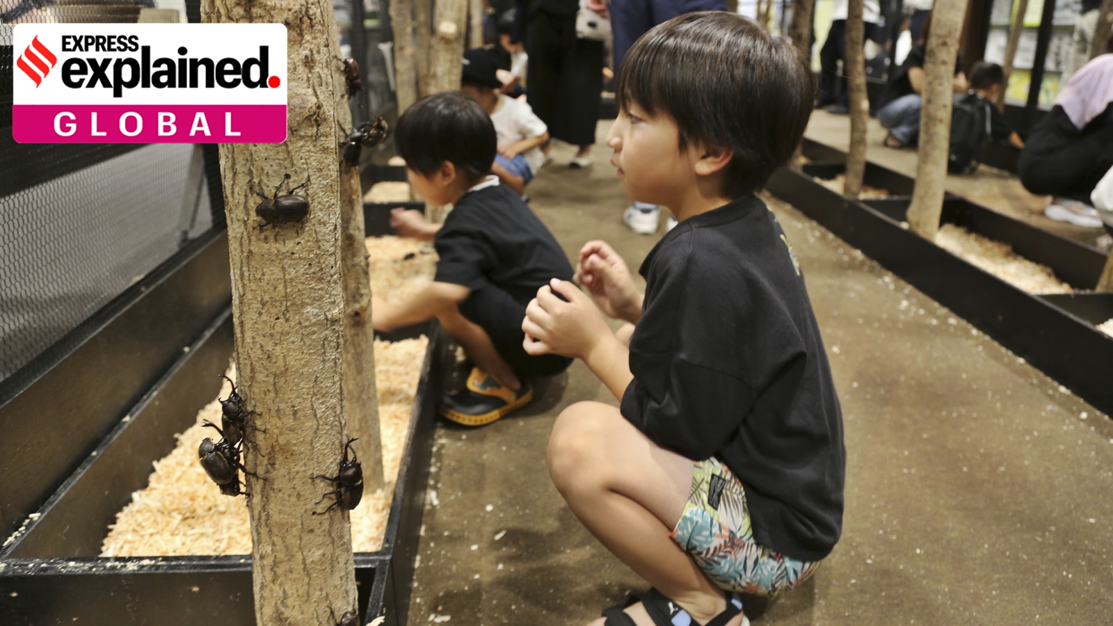 Japan often makes headlines in this area because of its particularly low birth and fertility rates.