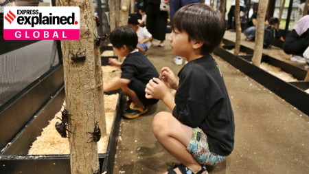 Japan often makes headlines in this area because of its particularly low birth and fertility rates.