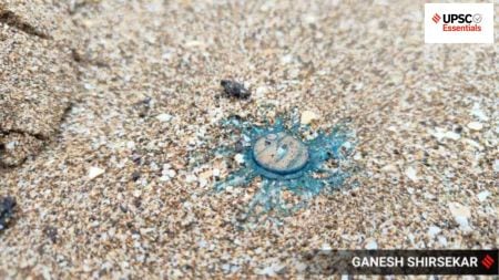 UPSC Essentials | Daily subject-wise quiz : Environment and Geography (Week 123)