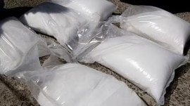 Mephedrone factory linked to Salim Dola busted in Bhopal