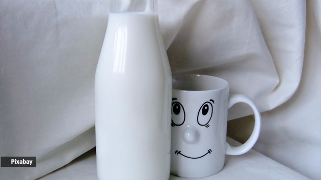 cow milk