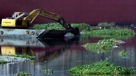 Mithi River desilting scam, desilting scam, Mithi River, Economic Offences Wing, Mumbai news, Maharashtra news, Indian express, current affairs