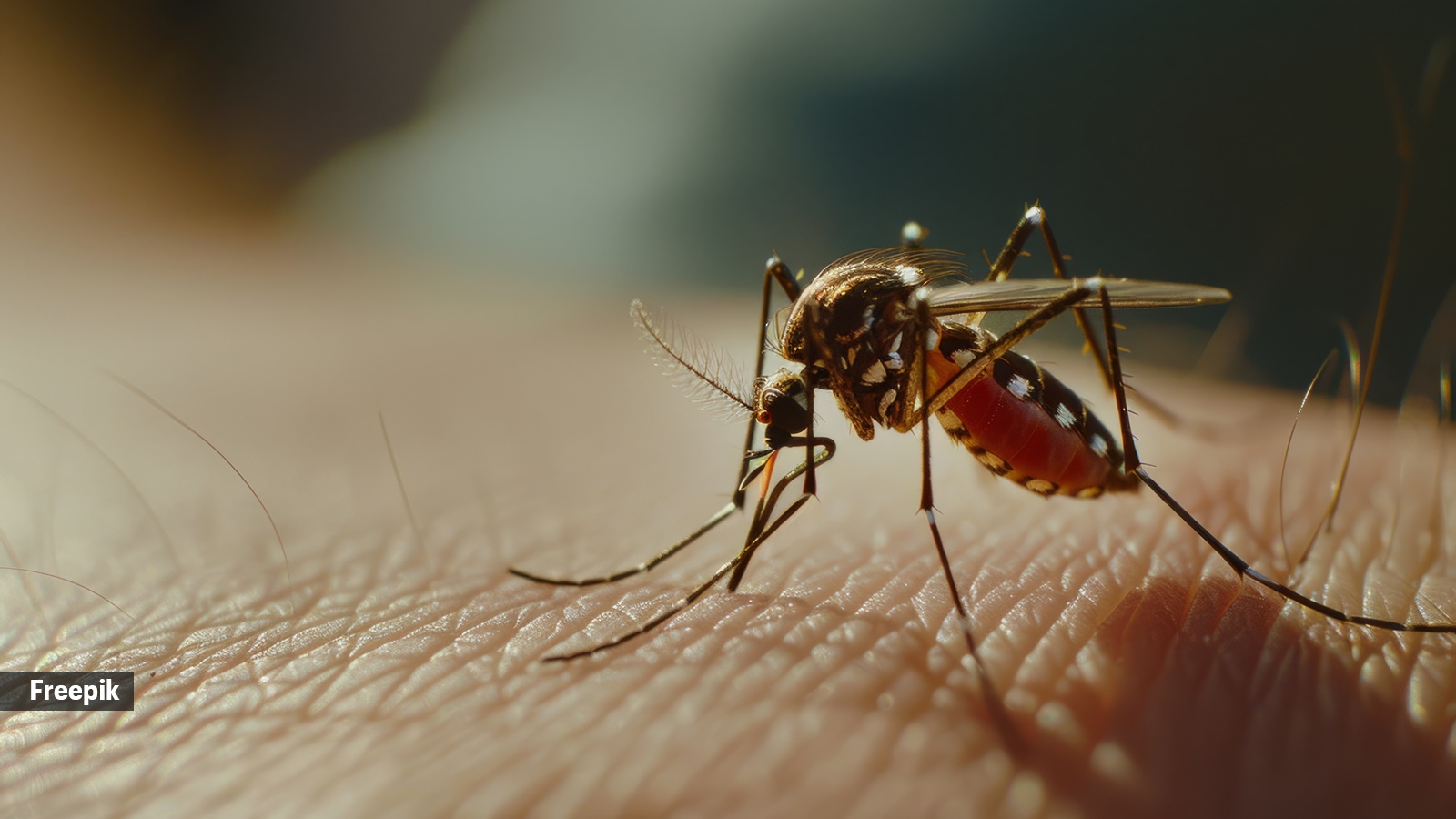 Dengue in Children: Early Symptoms & Parent Actions