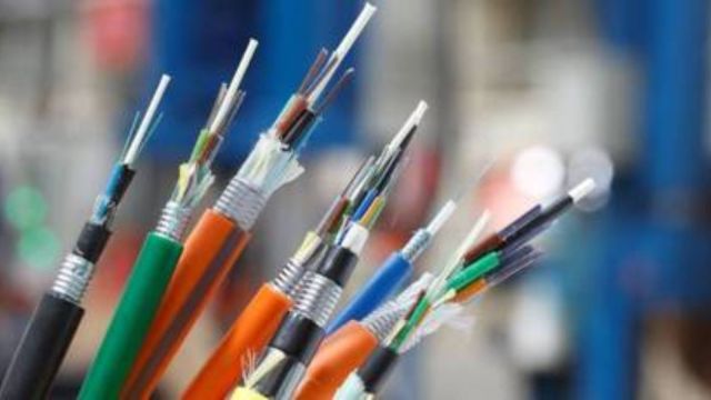 Police said they were in the process of identifying the BSNL officials who were responsible for the project.