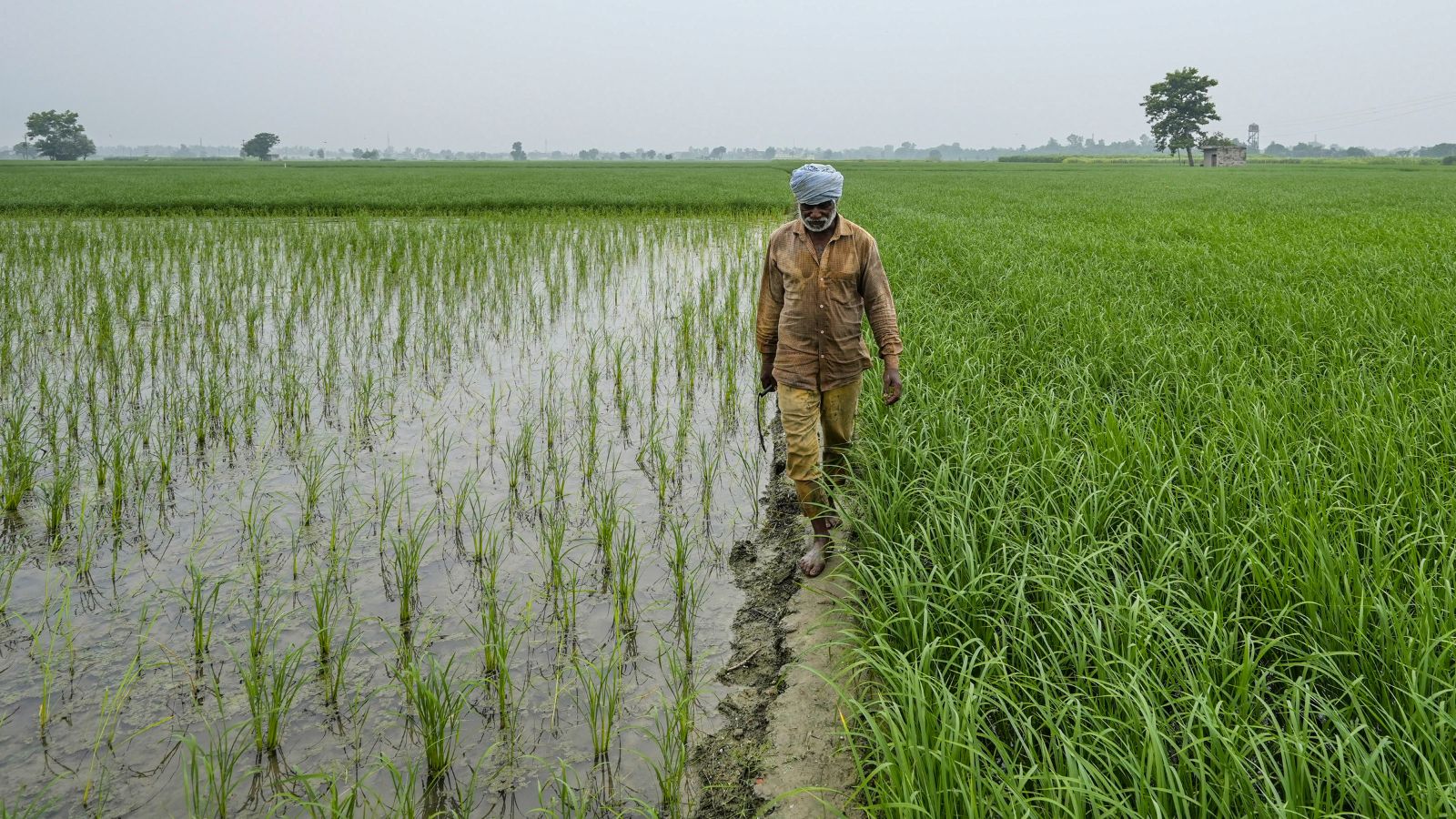 Abtak.com - Business - News Image