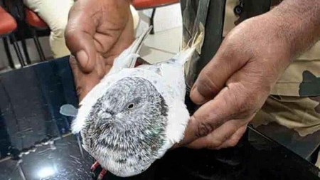 Found in the claws of a pigeon — a threat to blow up Jammu railway station