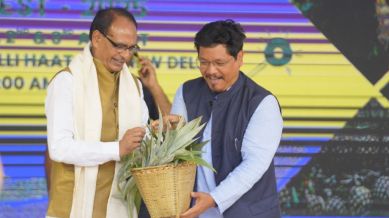 Meghalaya Pineapple Festival, Meghalaya agriculture success, Dilli Haat pineapple festival,