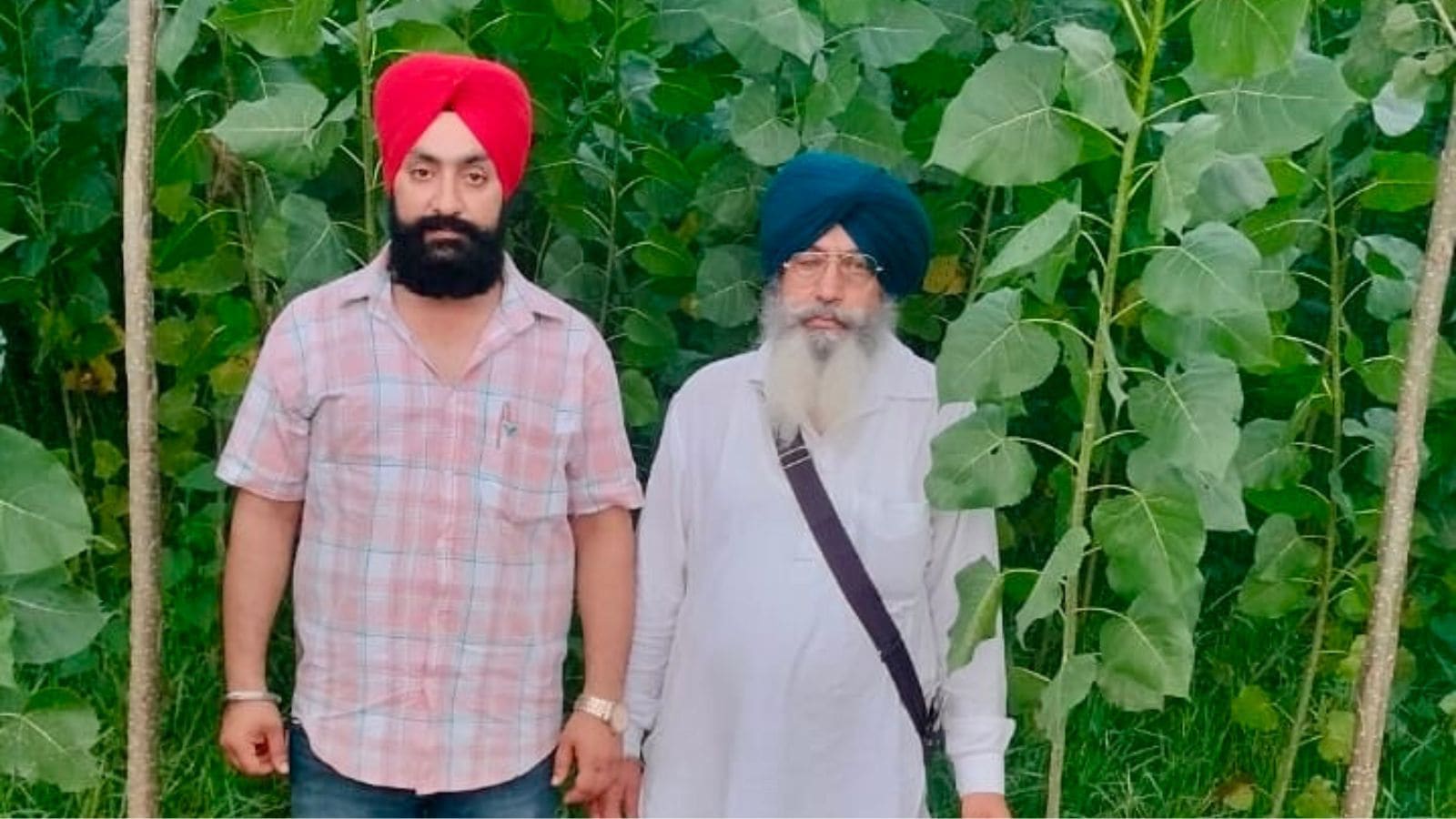 From paddy to poplar: How a Ludhiana farmer built a ₹50-lakh-a-year model
