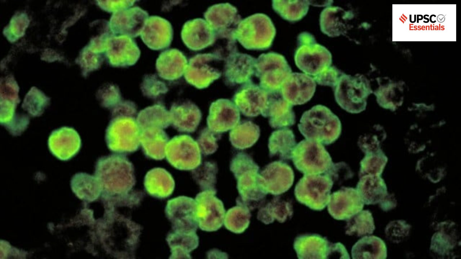 UPSC Prelims 2026: Ace Science & Tech with This Weekly Quiz (Week 124) - Amoebic Meningoencephalitis, Microalgae & More!