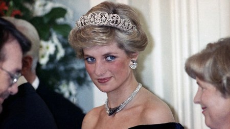 princess diana file