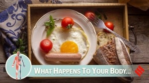 protein