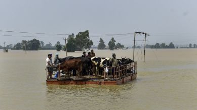 punjab