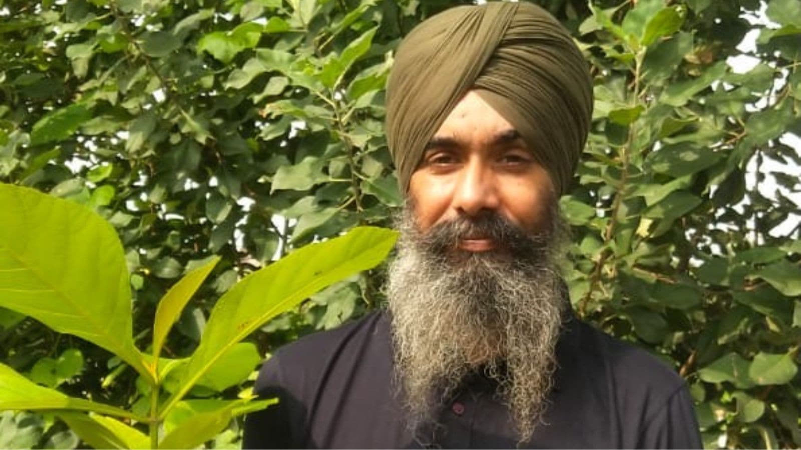Farmers’ Column | He lost his job in pandemic, and then pioneered teak revolution in Punjab