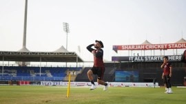 United Arab Emirates vs Afghanistan T20I Today Match Live Cricket Score Streaming Online: Afghanistan face UAE in Sharjah on Monday. (Photo Credit: Emirates Cricket Board)