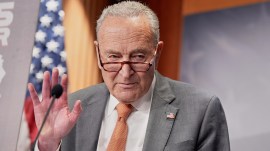 trump, us senate, schumer