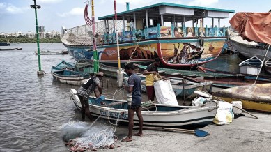 shark fins seized