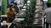 US Tariffs Impact on Indians: